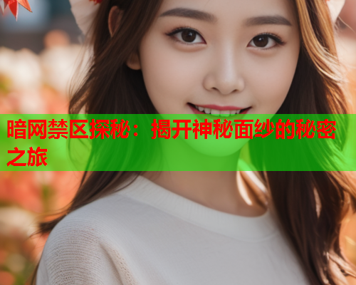 暗网禁区探秘：揭开神秘面纱的秘密之旅