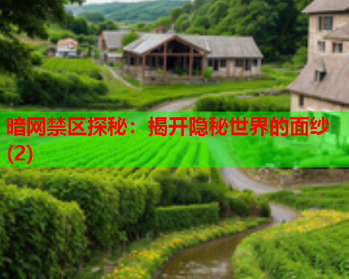 暗网禁区探秘：揭开隐秘世界的面纱(2)