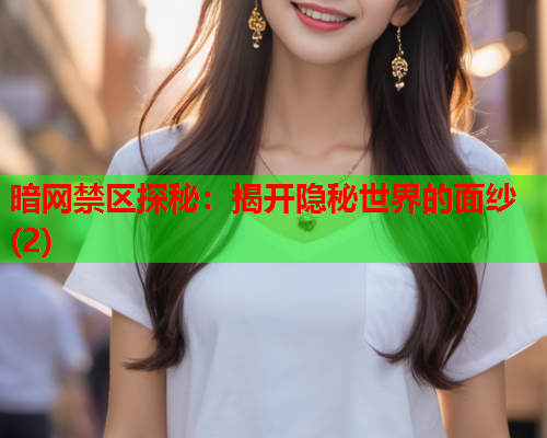 暗网禁区探秘：揭开隐秘世界的面纱(2)