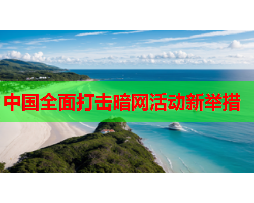 中国全面打击暗网活动新举措