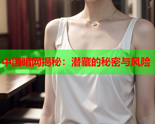 中国暗网揭秘：潜藏的秘密与风险