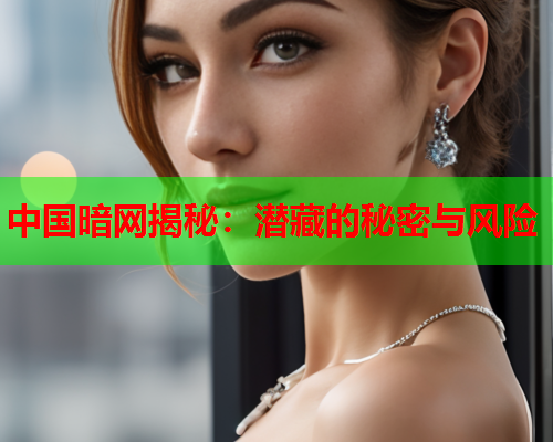 中国暗网揭秘：潜藏的秘密与风险