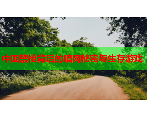 中国禁枪背后的暗网秘密与生存游戏
