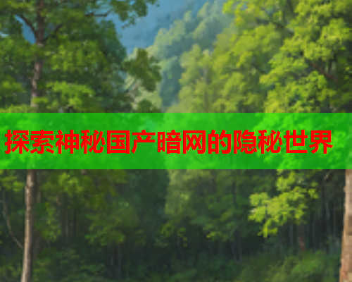 探索神秘国产暗网的隐秘世界
