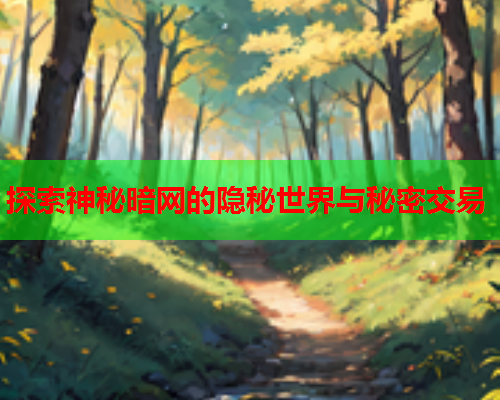 探索神秘暗网的隐秘世界与秘密交易