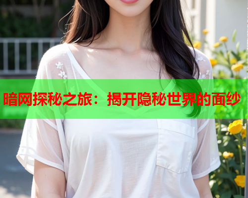 暗网探秘之旅：揭开隐秘世界的面纱