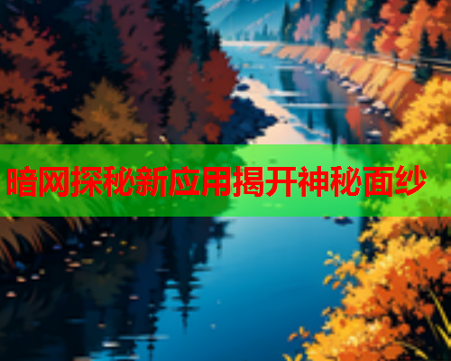 暗网探秘新应用揭开神秘面纱