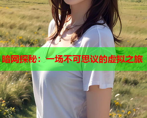 暗网探秘：一场不可思议的虚拟之旅
