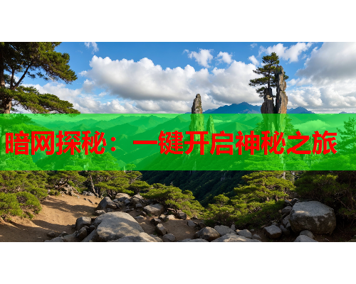 暗网探秘：一键开启神秘之旅