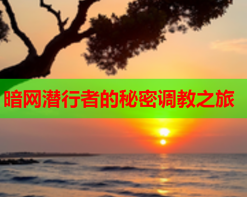 暗网潜行者的秘密调教之旅