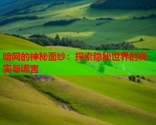 暗网的神秘面纱：探索隐秘世界的真实与谎言