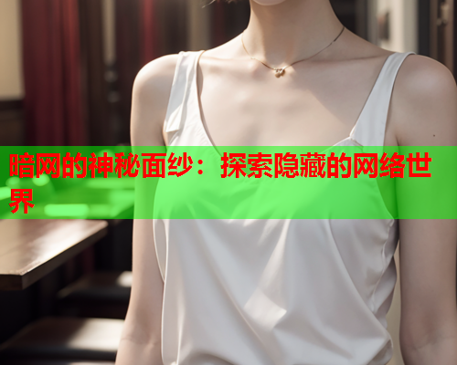 暗网的神秘面纱：探索隐藏的网络世界