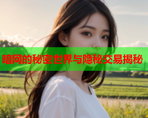 暗网的秘密世界与隐秘交易揭秘
