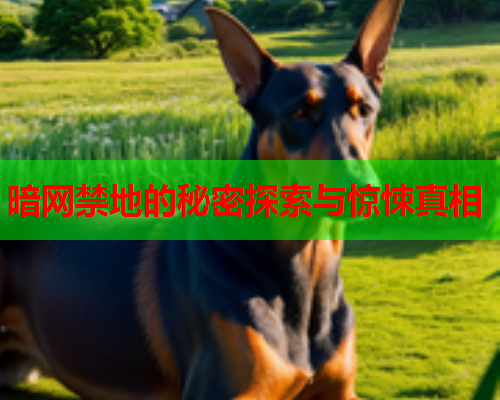 暗网禁地的秘密探索与惊悚真相