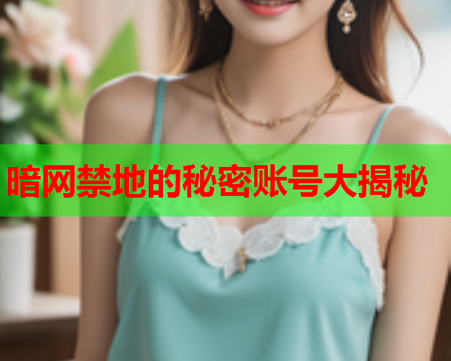 暗网禁地的秘密账号大揭秘