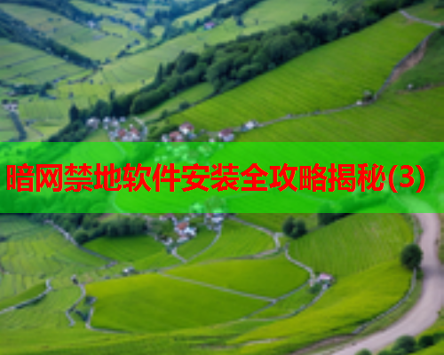 暗网禁地软件安装全攻略揭秘(3)