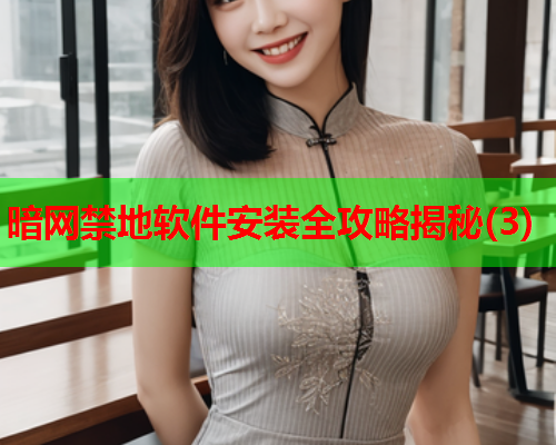 暗网禁地软件安装全攻略揭秘(3)