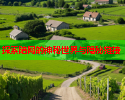 探索暗网的神秘世界与隐秘链接