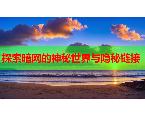 探索暗网的神秘世界与隐秘链接