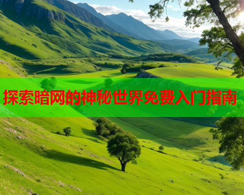 探索暗网的神秘世界免费入门指南