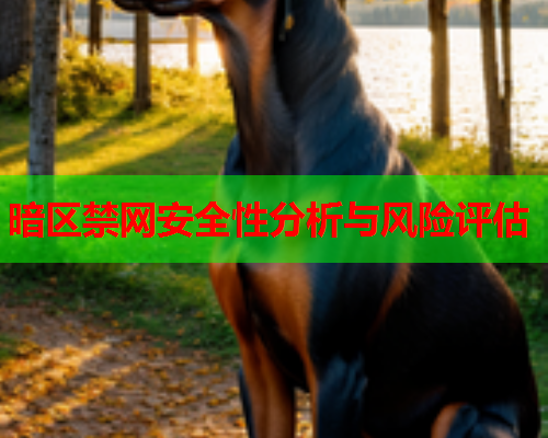 暗区禁网安全性分析与风险评估