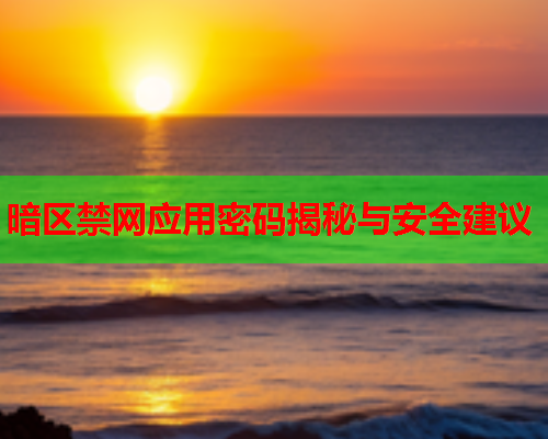 暗区禁网应用密码揭秘与安全建议