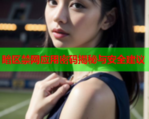 暗区禁网应用密码揭秘与安全建议