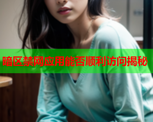 暗区禁网应用能否顺利访问揭秘
