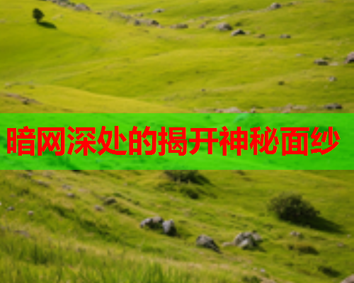 暗网深处的揭开神秘面纱