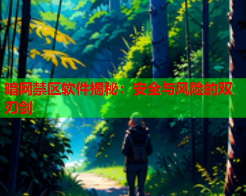 暗网禁区软件揭秘：安全与风险的双刃剑
