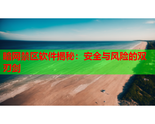 暗网禁区软件揭秘：安全与风险的双刃剑