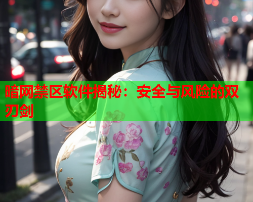 暗网禁区软件揭秘：安全与风险的双刃剑