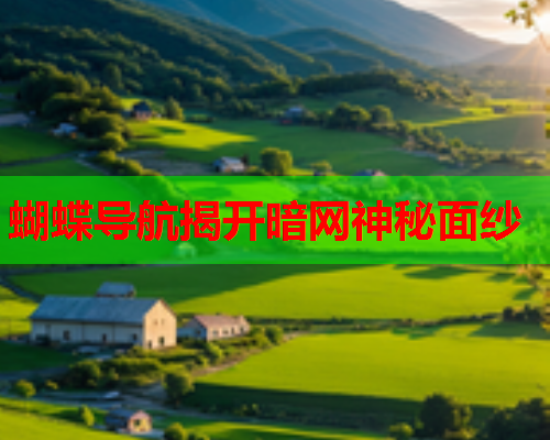 蝴蝶导航揭开暗网神秘面纱