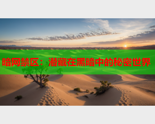 暗网禁区：潜藏在黑暗中的秘密世界