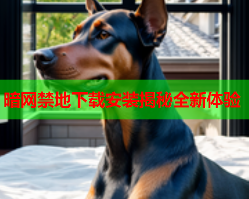 暗网禁地下载安装揭秘全新体验