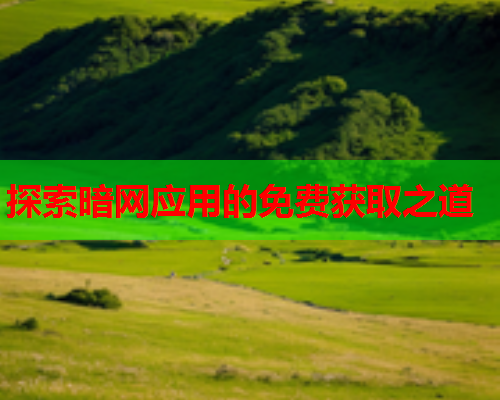 探索暗网应用的免费获取之道