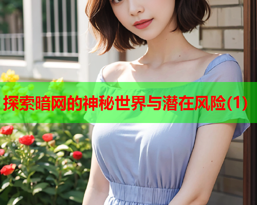 探索暗网的神秘世界与潜在风险(1)