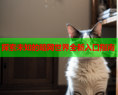探索未知的暗网世界全新入口指南