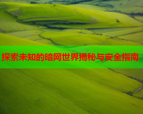 探索未知的暗网世界揭秘与安全指南