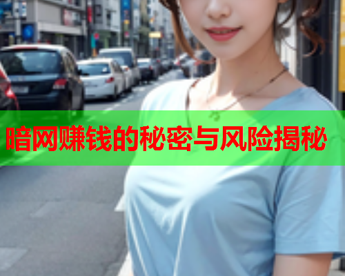 暗网赚钱的秘密与风险揭秘