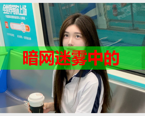暗网迷雾中的