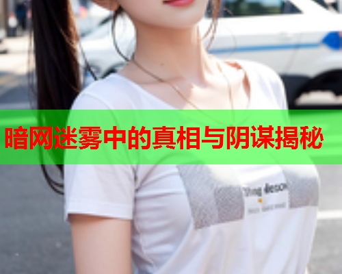 暗网迷雾中的真相与阴谋揭秘