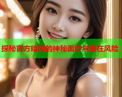 探秘官方暗网的神秘面纱与潜在风险