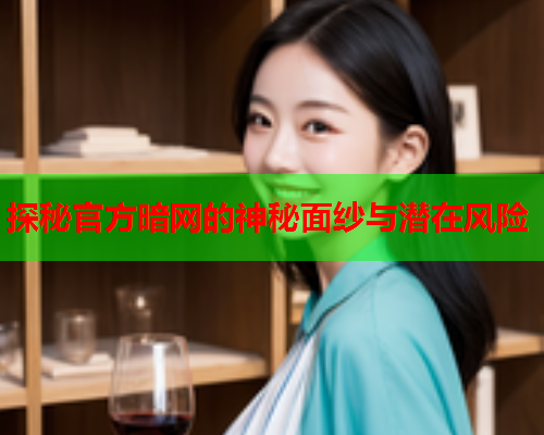 探秘官方暗网的神秘面纱与潜在风险