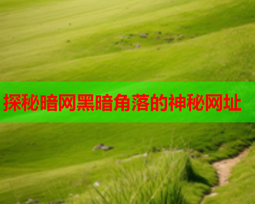 探秘暗网黑暗角落的神秘网址