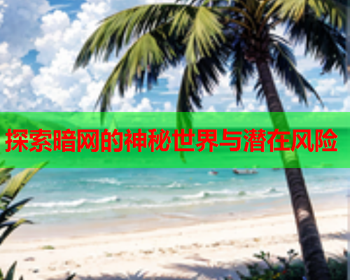 探索暗网的神秘世界与潜在风险