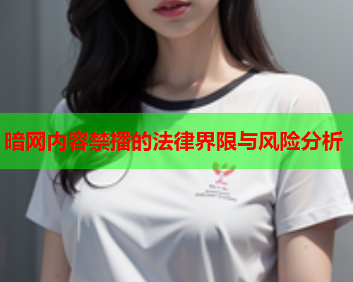 暗网内容禁播的法律界限与风险分析