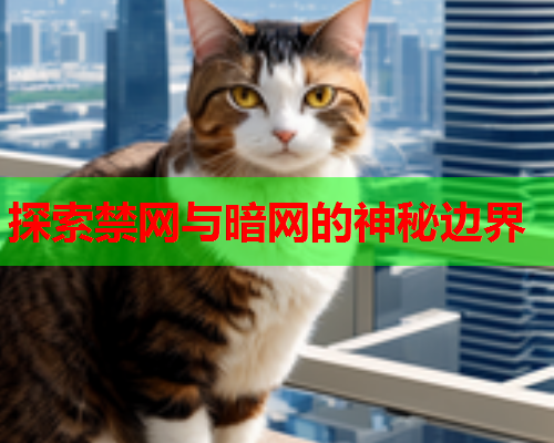 探索禁网与暗网的神秘边界