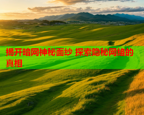 揭开暗网神秘面纱 探索隐秘网络的真相