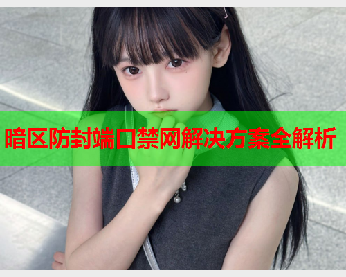 暗区防封端口禁网解决方案全解析